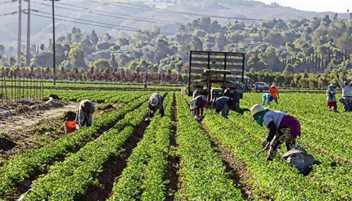 ইতালি কৃষি ভিসা আবেদন ফরম