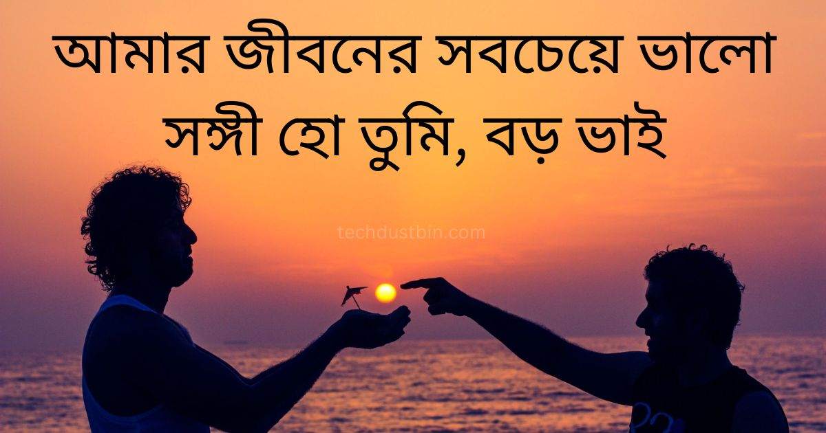 বড় ভাইকে নিয়ে উক্তি