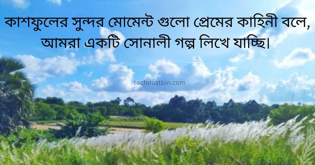কাশফুল নিয়ে রোমান্টিক কিছু কথা