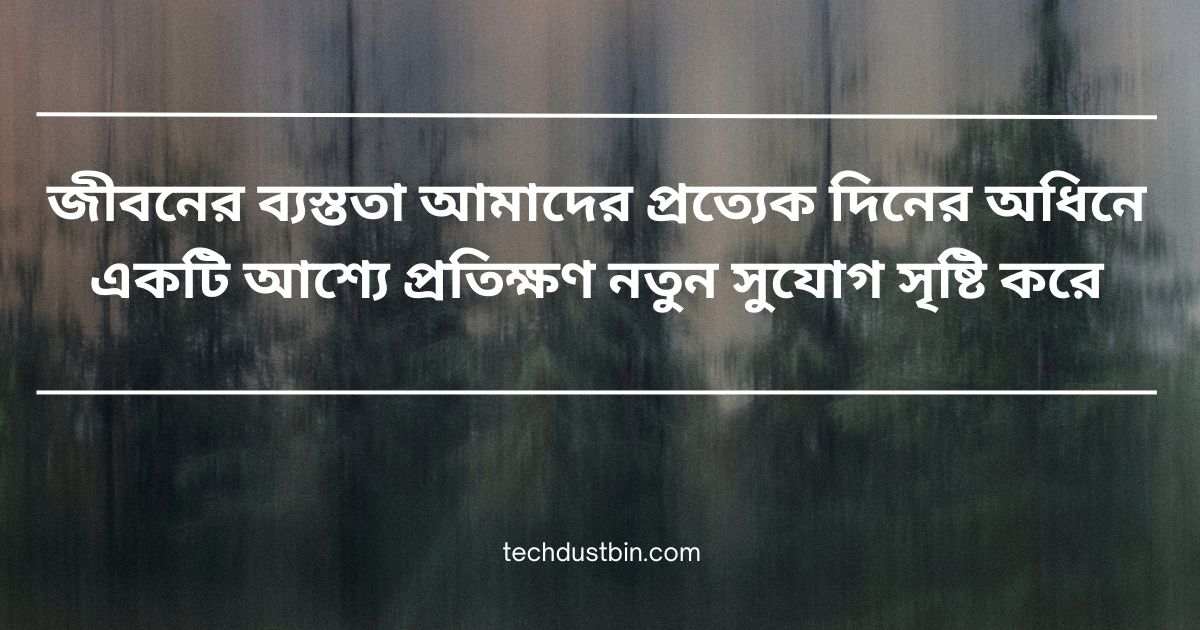 ব্যস্ততা নিয়ে উক্তি