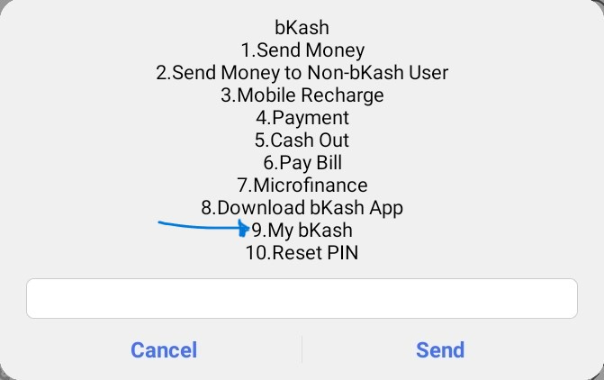 বিকাশে উপবৃত্তির টাকা দেখার নতুন নিয়ম