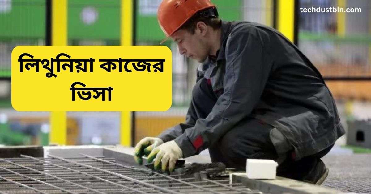 লিথুনিয়া কাজের ভিসা