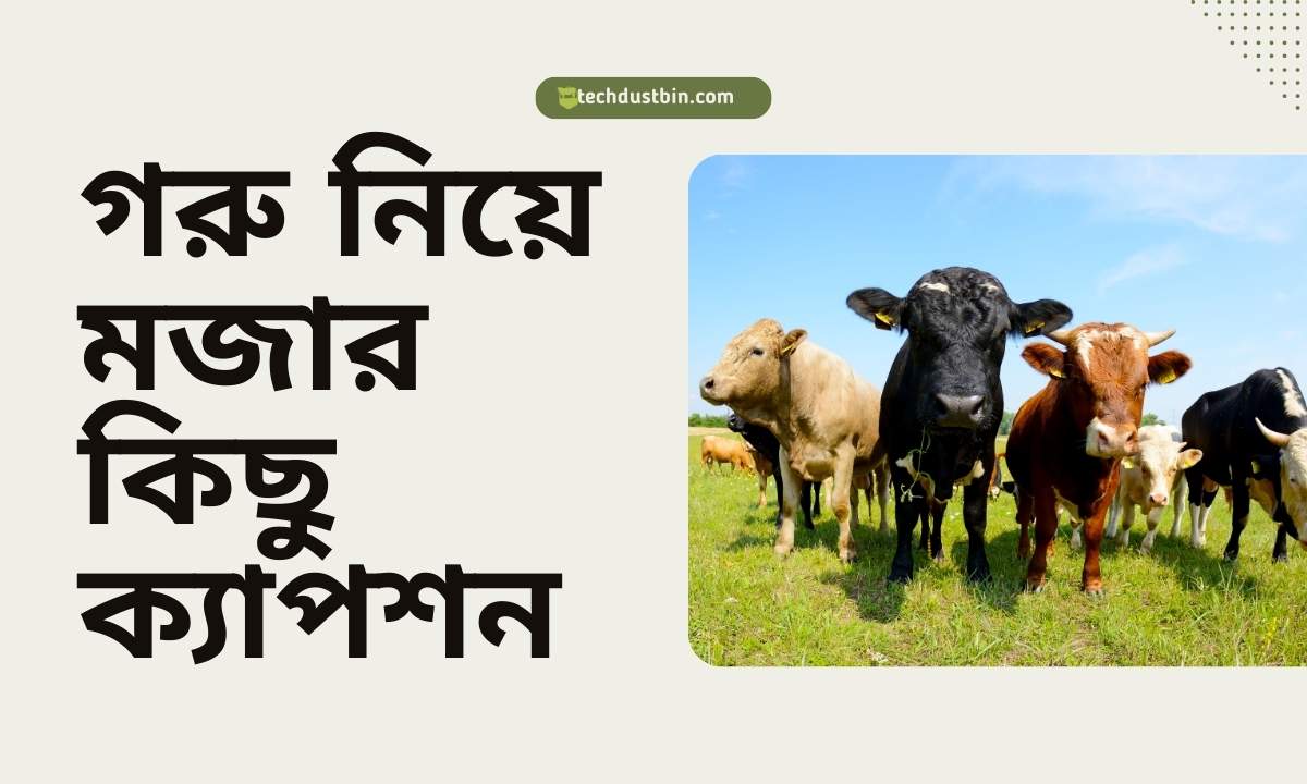 গরু নিয়ে মজার কিছু ক্যাপশন